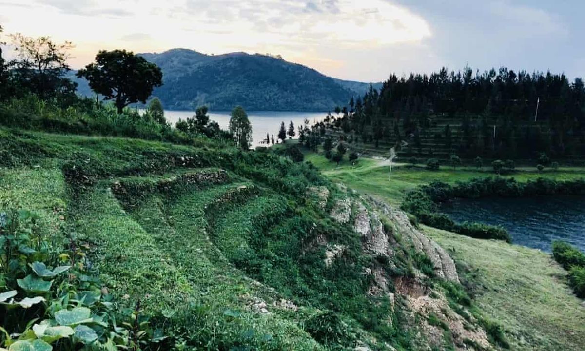 Our Lady Of The Nile